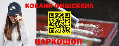гашик Моздок
