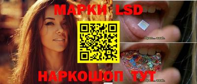 гашик Моздок