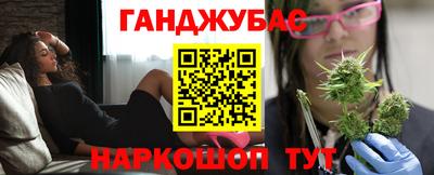 гашик Моздок