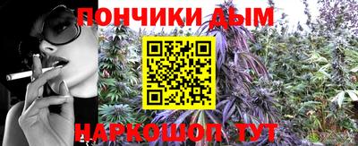 амф Можга