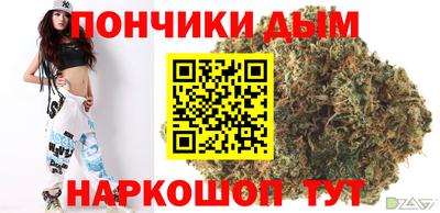 гашик Моздок