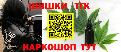 гашик Моздок