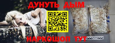 гашик Моздок