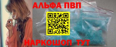 гашик Моздок