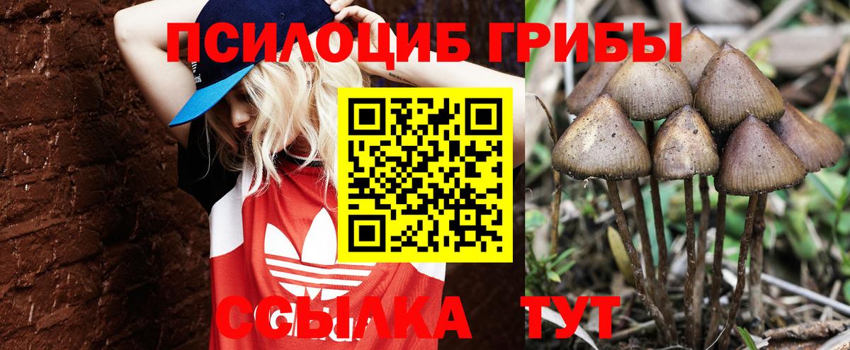Псилоцибиновые грибы GOLDEN TEACHER Ростов Великий