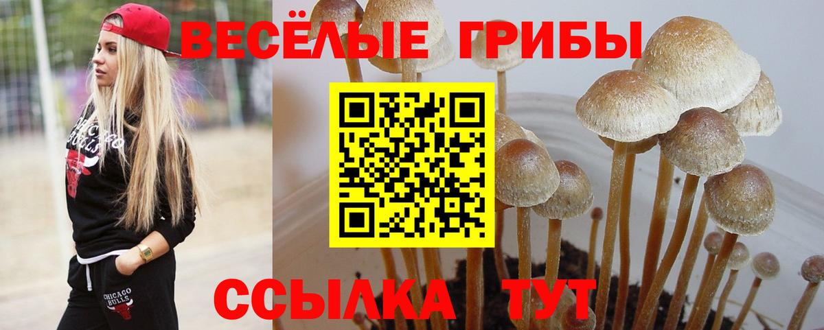 Ростов Великий  где найти наркотики  Псилоцибиновые грибы Magic Shrooms  Вход с VPN  Галлюциногенные грибы ЛСД 
